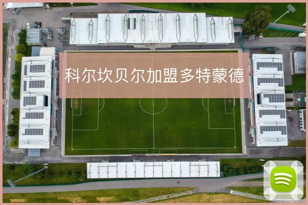 科尔坎贝尔加盟多特蒙德