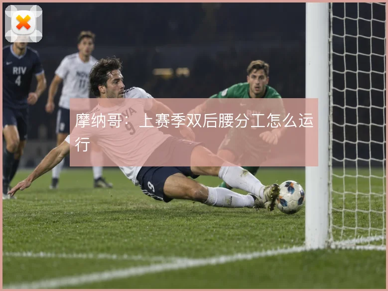 摩纳哥：上赛季双后腰分工怎么运行